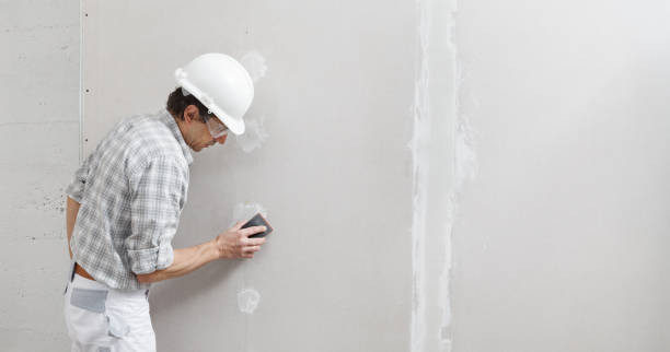 Best Drywall Sanding and Smoothing  in Bradley, IL